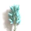 60pcs Nature Bunny Rabbit Tail Grass Dried Flower Bouquet Wedding Party Decor Fluffy Pampas Christmas Diy Floral Arrangement