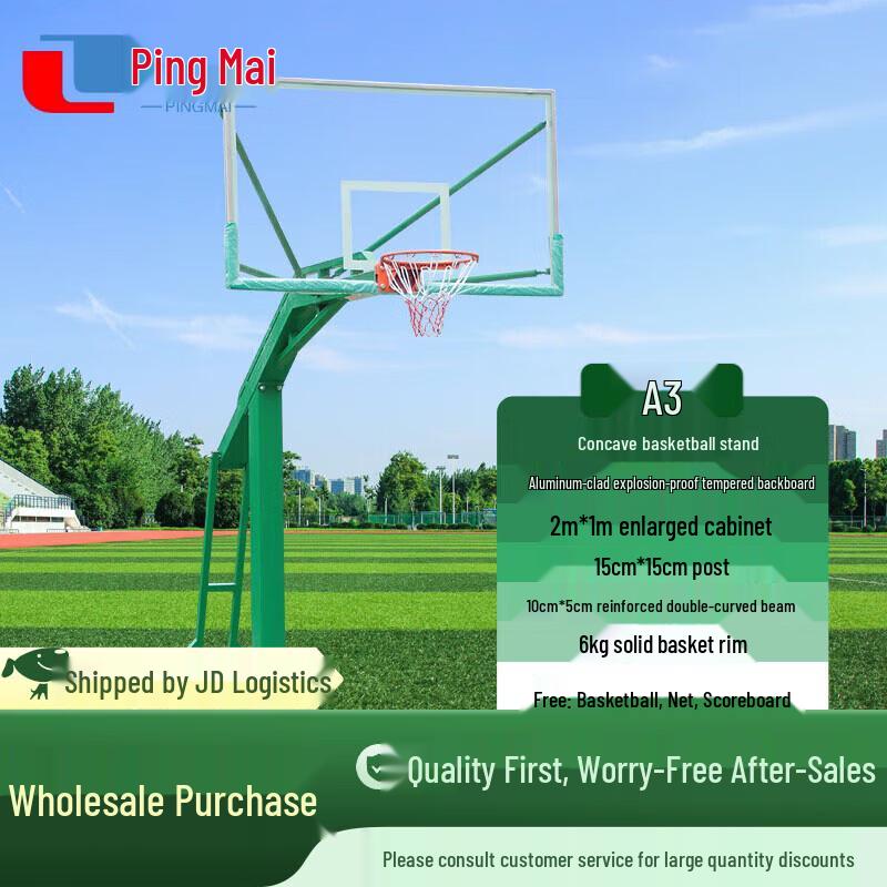 Pingmai Portable Basketball Hoop