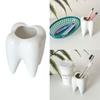 Ceramic Tooth Shape Pen Holder Fun Desk Organizer for Kid Adult Cute Pencil Holder Stationery Holder Unique Container