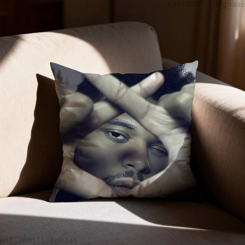 The Weeknd XO  Pillow Case Antidustmite Pillowcase Invisible zipper silky short plush Sofa cushion cover