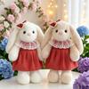 Long-eared Rabbit Plush Toy Skirt-Wearing Doll - Children's Gift