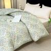 PAUI DAVID Starry Sleep Brushed Quilt