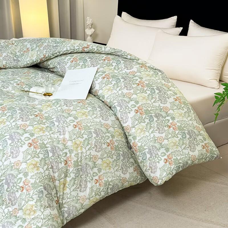 PAUI DAVID Starry Sleep Brushed Quilt
