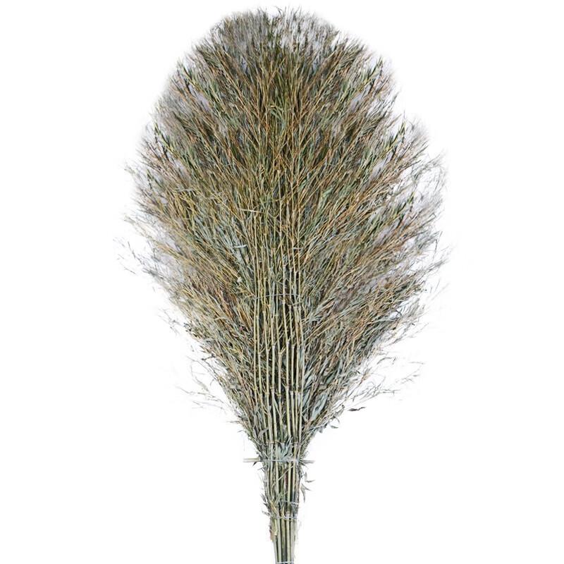Heavy-Duty Bamboo Outdoor Broom