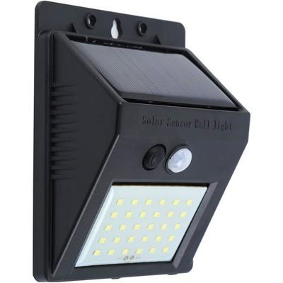 LED-lamper – LED sollamper