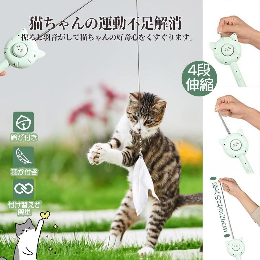 Cat One Pet Hair Clean Pill Removal Dog Cat Pet Slicker USB Gentle on the Suitable for Dogs and Short Medium Long Japanese Instruction Manual Included