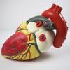 Hongyan 4X Detachable Human Heart Model