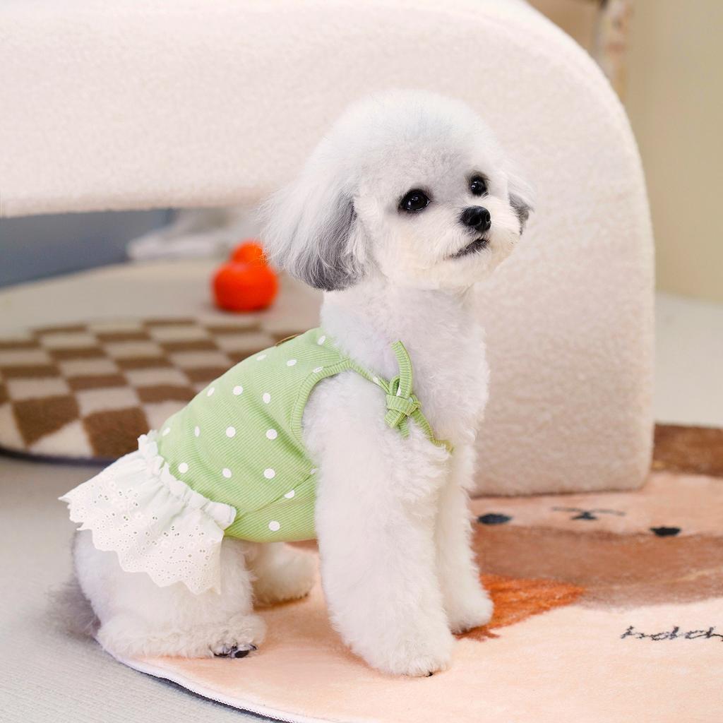 Summer new medium and small teddy dog small fresh floral Korean little suspender cute princess dress pet clothes