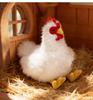 Grenzüberschreitende Simulations-Geflügel-Serie: Hahn, Henne, Truthahn, Schwarzes Huhn Plüschfiguren