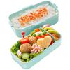 Skater Bento Box, 2-Tier, 600ml, for Women, Made In Japan, with a Soft Dome-Shaped Lid, Dishwasher and Microwave Safe, Disney Peter Pan and Tinker Bel