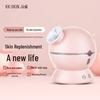 Jindao Nano Cold & Hot Facial Steamer