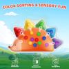 Educational Fine Motor Skill Games Montessori Learning Fidget Toys  For Toddlers