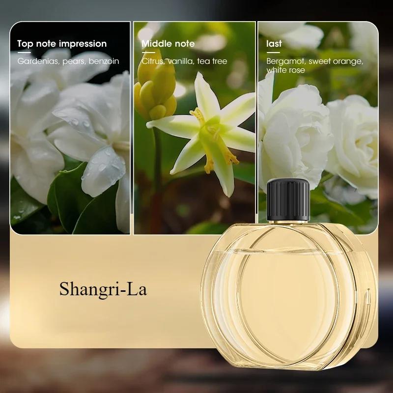 Aromatherapy Machine Desktop Air Purifying Diffuser Air Freshening Deodorizing Perfume Diffuser Air Purifier Hilton Lavender Oil