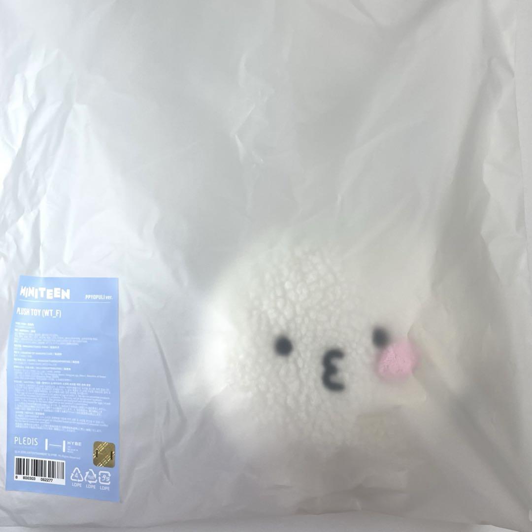

[USED] SEVENTEEN MINITEEN Pop-up Uzi Plush Toy