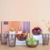 Qiao Zhiya Vertical Stripe Glassware Gift Set