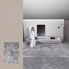 Light Luxury Bedroom Decor Plush Carpet Large Size Carpets for Living Room Thick Lounge Washable Floor Mat Fluffy Soft Study Rug