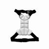 Change Cooling Vest for Dogs, Pet Ice Vest Summer Breathable, Pet Cooling Mat, Dog Chest Back Harness for Hot Weather Relief