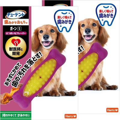 Student Toothbrush Bone for Extra Small Sweet Potato 2 Hartz Dog Dog Teeth Dental Developed with Veterinarians Toy, S, Dogs, Flavor, Pieces, Toy, Toy,