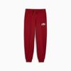 Puma SQUAD FL Women's Sweatpants Burgundy 68154213 Size XL