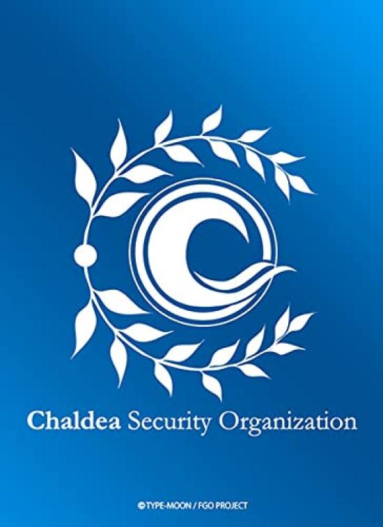 Broccoli Монохромный рукав Премиум FateGrand Order [Халдея]