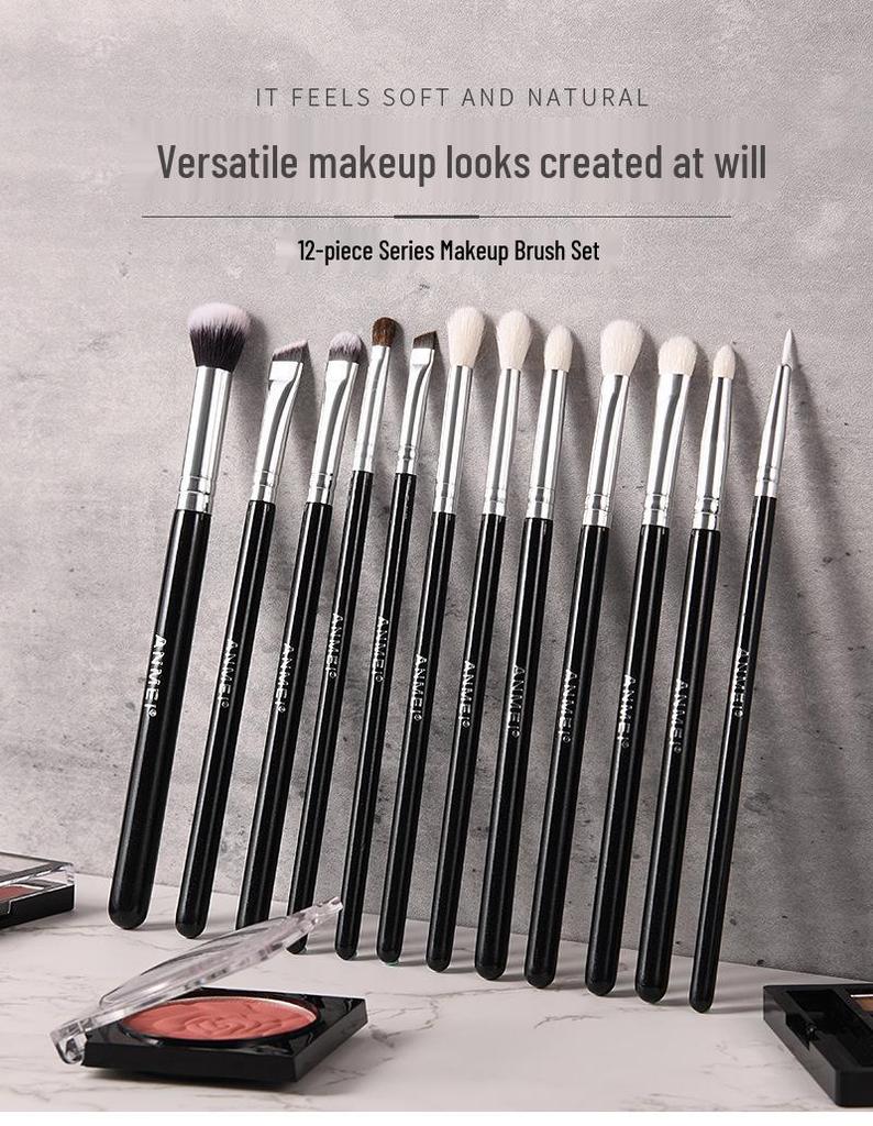 Cangzhou 12-Piece Eye Makeup Brush Set: Includes Eyeshadow, Blending, Eyebrow, Lip & Fine Light Tip Brushes.