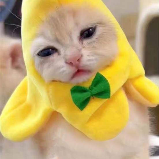 Yousheng Cat Hat Adorable Banana Shape Pet Hat with Bow Stylish Eye-Catching Kitty Headwear Pet Costume Accessory