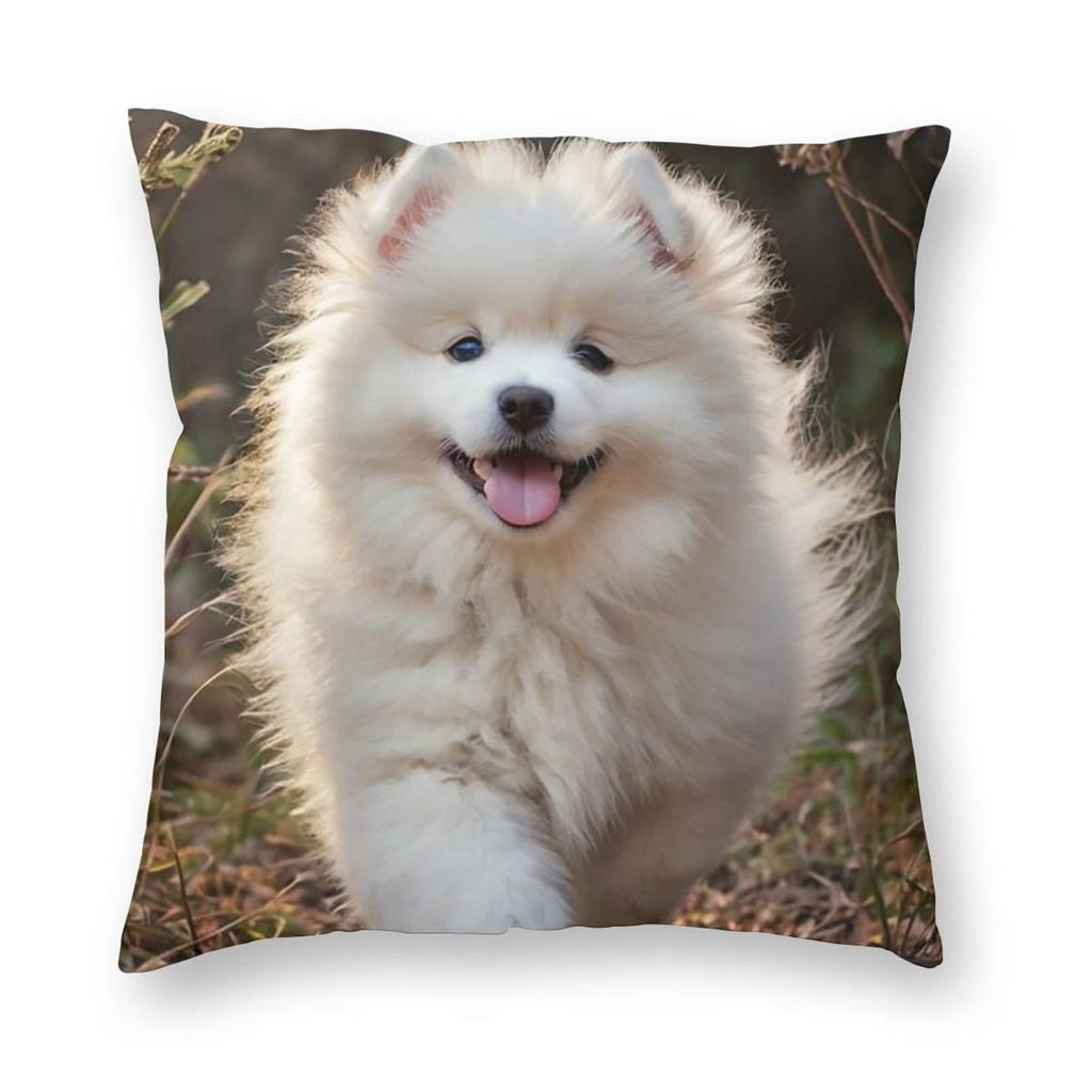 Samoyed Dog Animal Square Pillowcase Pillow Cover Cushion Throw Pillow for Home Bedroom Car