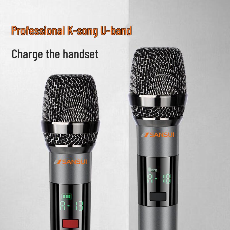 Sansui Q129 Portable All-in-One KTV Speaker System