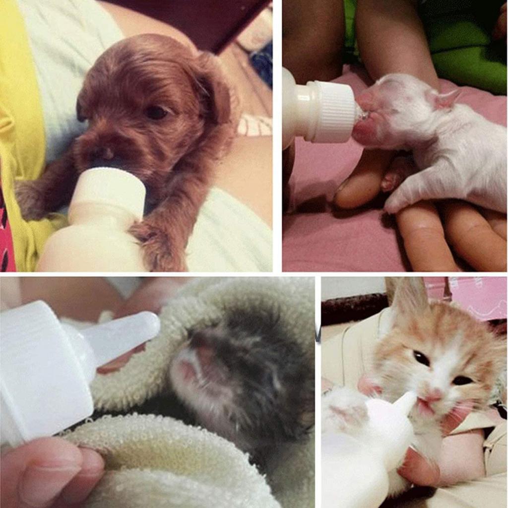 M-Modern-Pet Nursing Bottle Kits Replacement Nipple Cat Feeding Bottle For Newborn Kittens, Puppies, Rabbits, Small Animals