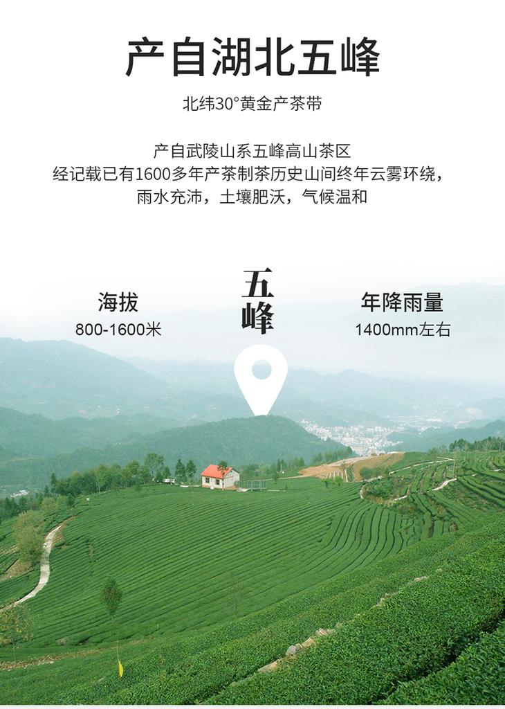 New Tea Three Gorges Five Peaks High Mountain Flower Picking Suitable Red Gongfu Tea First Grade Black Tea Canned Strong Aroma Grain Tea