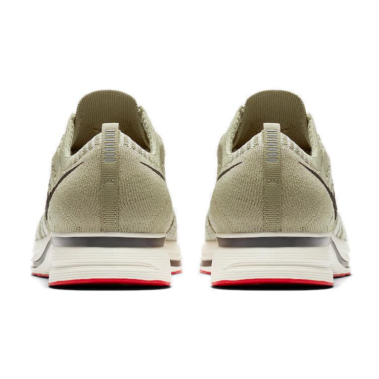 Nike Scarpa da allenamento Flyknit 'Neutral Olive' AH8396-201