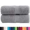 VidaXL Serviettes de toilette premium SOLUND 2 pièces Gris 30 x 30 cm 600 g/m² 137299