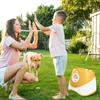 Automatic Dog Ball Launcher Automatic Pet Dogs Chase  Fun Interactive Throw Catapult Dogs Ball Catapult Pet Interactive