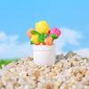 Mini Cactus & Succulent DIY Decor Set for Desktop & Car