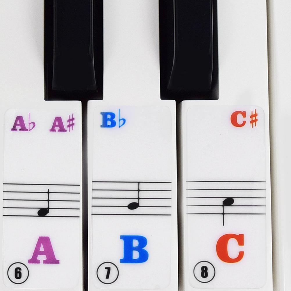 Piano Keys Sticker Set for 61 Keyboard Avtakbart for nybegynnere Transparent