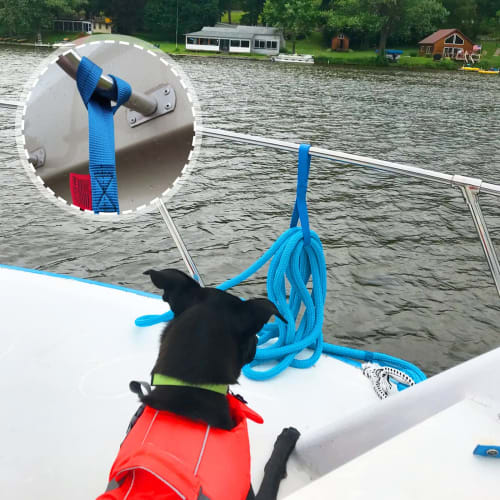 RILIHII [12-Pack] Tie-Down Straps (2.5x40cm, Blue) with Soft Loops, Can Be Used As Sub-Belts, Ring Belts, Locking Straps, Cargo Tie-Down Auxiliary Bel