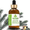 Pure Herbs Norway Spruce (Picea Abies) Pure & Natural Therapeutic Grade Essential Oil Glass
