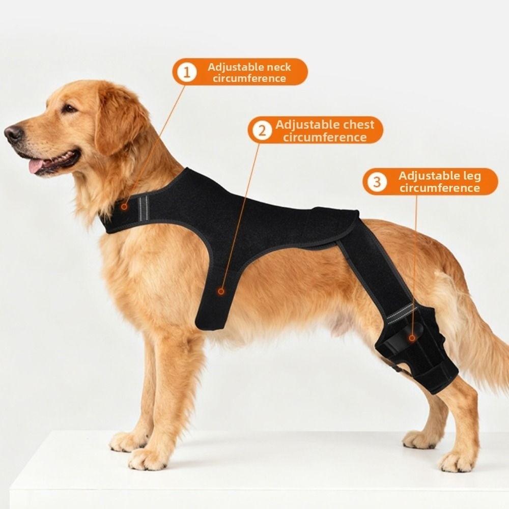 Tutore Posteriore Regolabile per Cane Copertura Protettiva Traspirante per Gomito Tutore per Ginocchio Cane Protezione Ferite