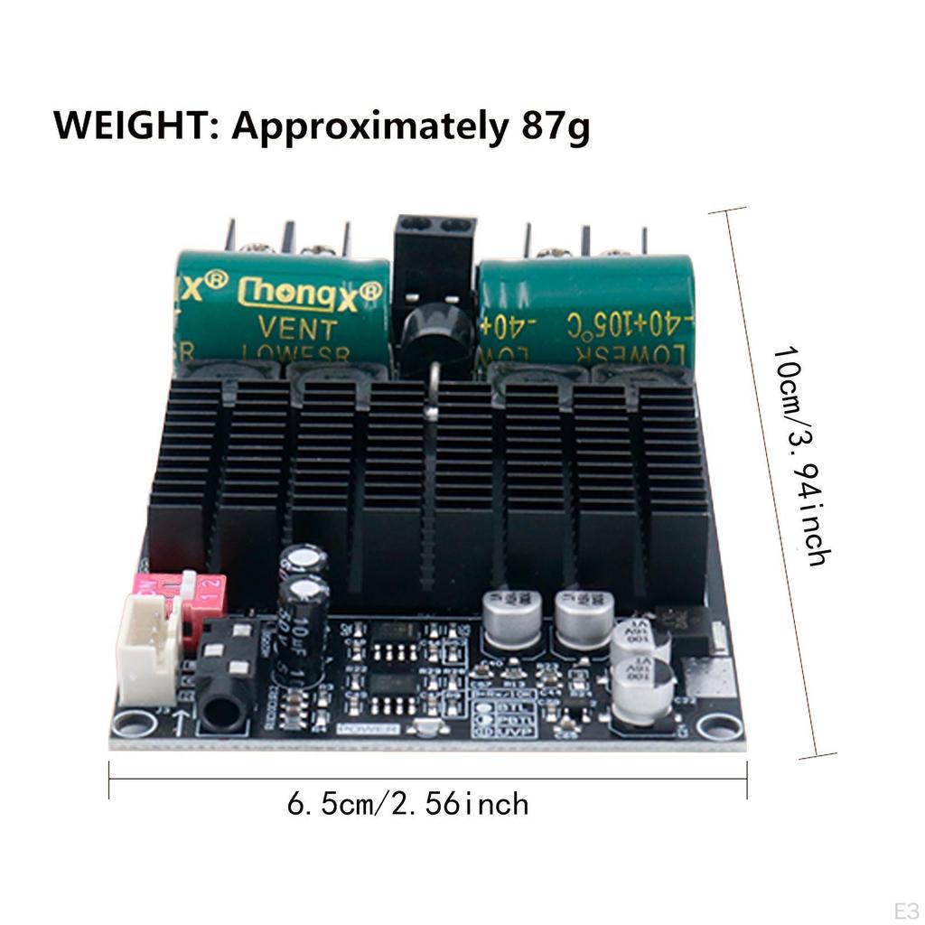 Amplifier Board 10-30V Bridged Mono Subwoofer Speaker 100wx2 Dual Channel