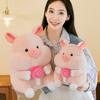 Soft Pig Holding Lollipop Plush Toys PP Cotton Stuffed Pig Plushie Doll  Home Decor