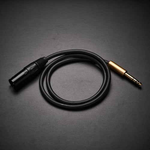 Cliche 6.35mm TRS to XLR Canon Conversion Cable (2-Pack) 6.35mm (1/4 Inch) Stereo Male to XLR Male, 0.75m XLR Conversion Cable