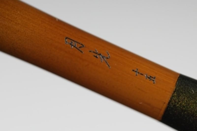 DAIWA Hera Rod Gekko 11 Fishing Rod