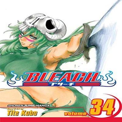 Bleach Vol. 34 by Tite Kubo Paperback Book 9781421528120