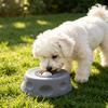 Dog Lick Bowl Ball with Non-Slip Interactive Rotating Ball Design Slow Feeder Feeding And Boredom Relief Bowl for Wet Food Yogurt Peanut Butter