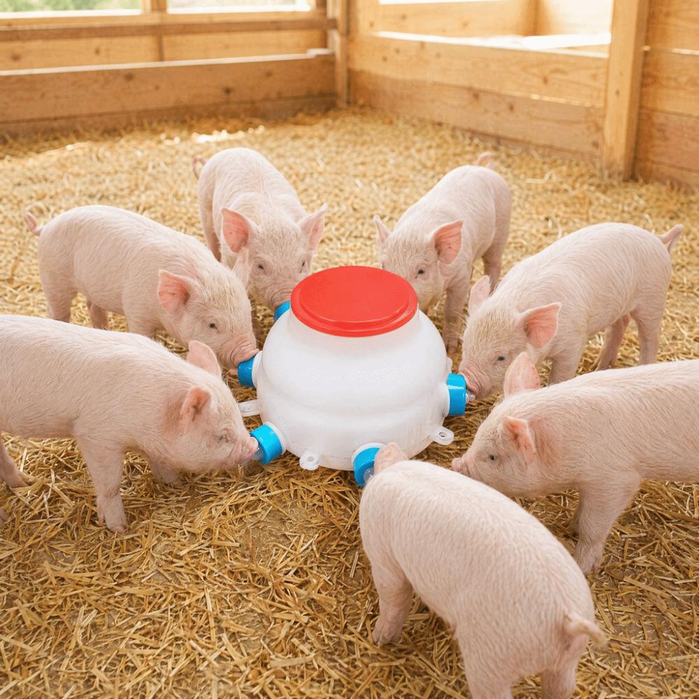 13 Pcs Set 6 Nipples Lamb Milk Bottle Thickened Piglet Feeder Bottle  Young Livestock