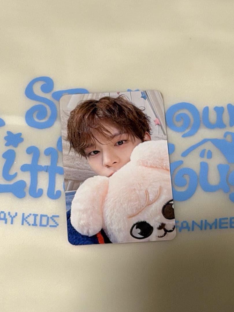 [USED] Stray Kids fan meeting 4/4 admission bonus: Seungmin