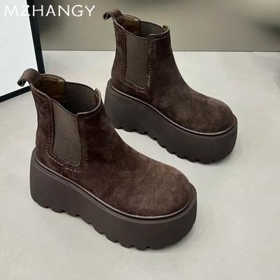 Fashion Flats Platform Women Suede Snow Ankle Boots Dress Warm Fashion Casual Short Plush Boots Women 2024 Trend New Winter Botas Mujer