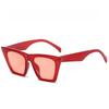 Square Sunglasses for Women Fashion Trendy Style Sun Glasses Vintage Shades Goggles UV400 Protection Summer Streetwear Eyewear