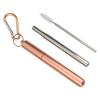 Collapsible Straw Set with Silicone Tips and Carabiner Hook