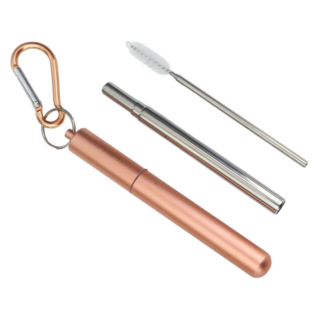 Collapsible Straw Set with Silicone Tips and Carabiner Hook
